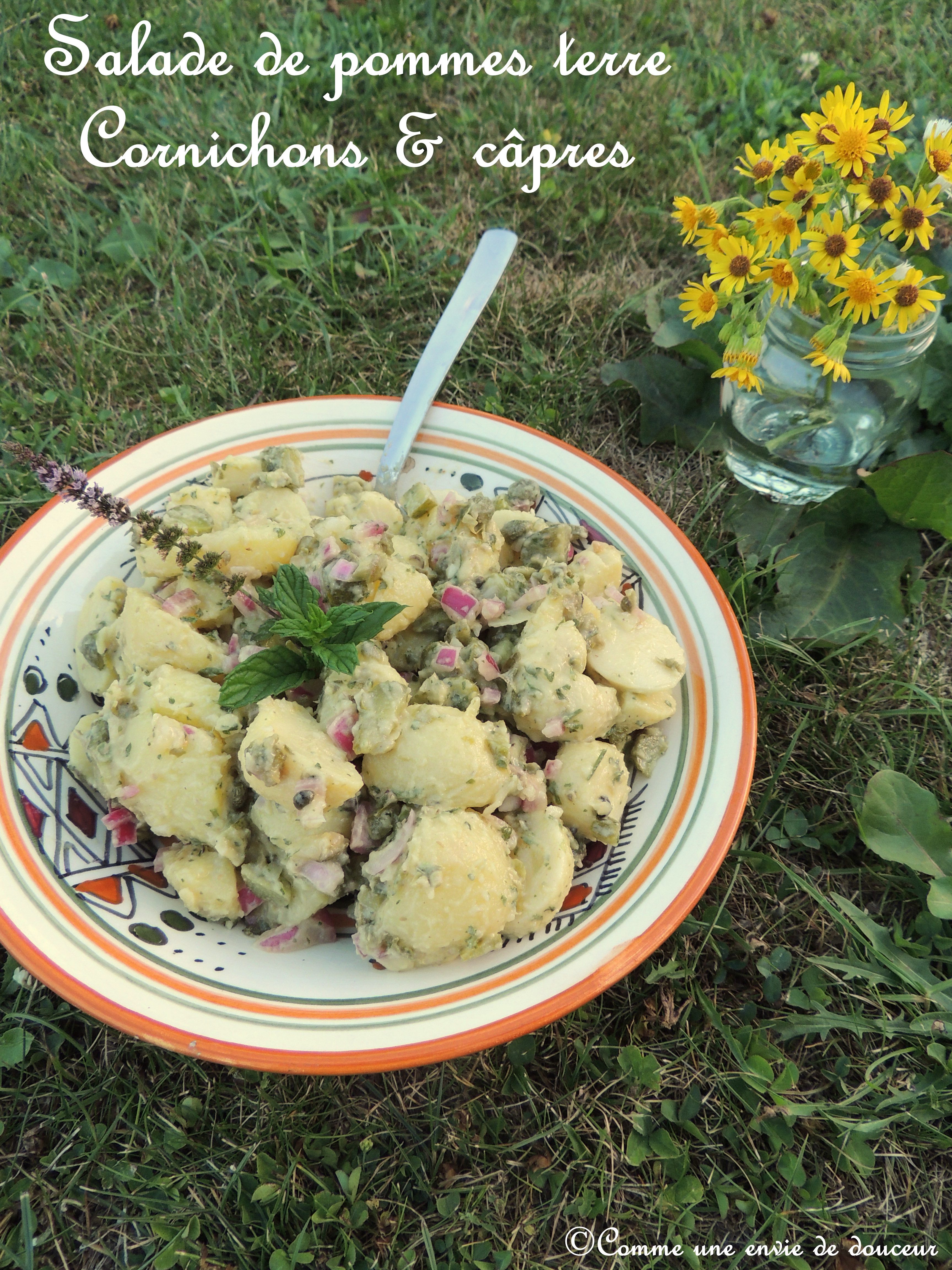  Salade de pommes de terre câpres & cornichons 