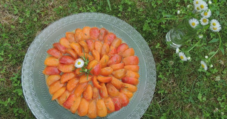 Tarte à l’abricot, compotée de rhubarbe – Apricot & rhubarb tart