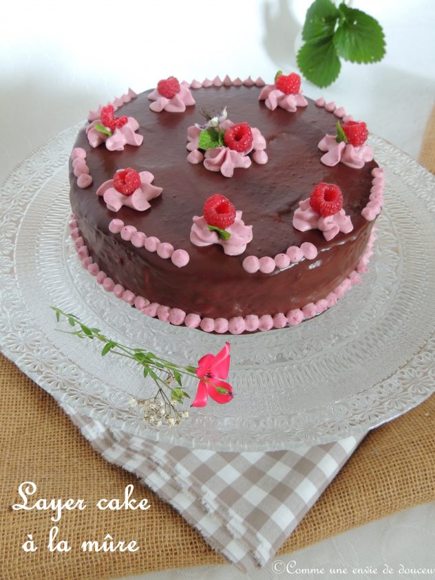 Layer cake mûre chocolat